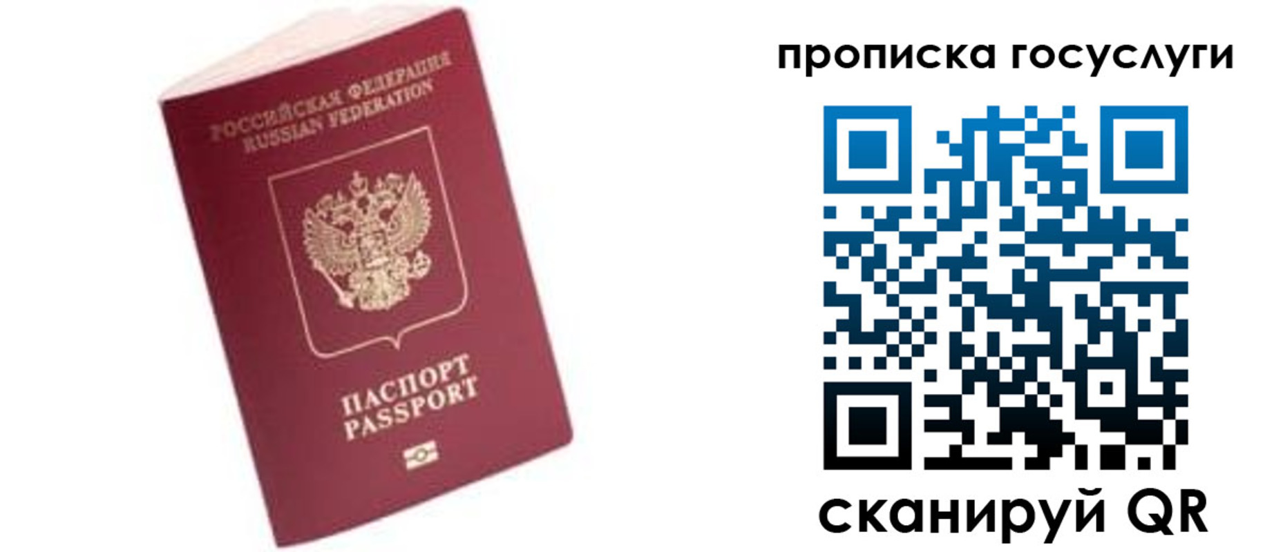 прописка в Щиграх