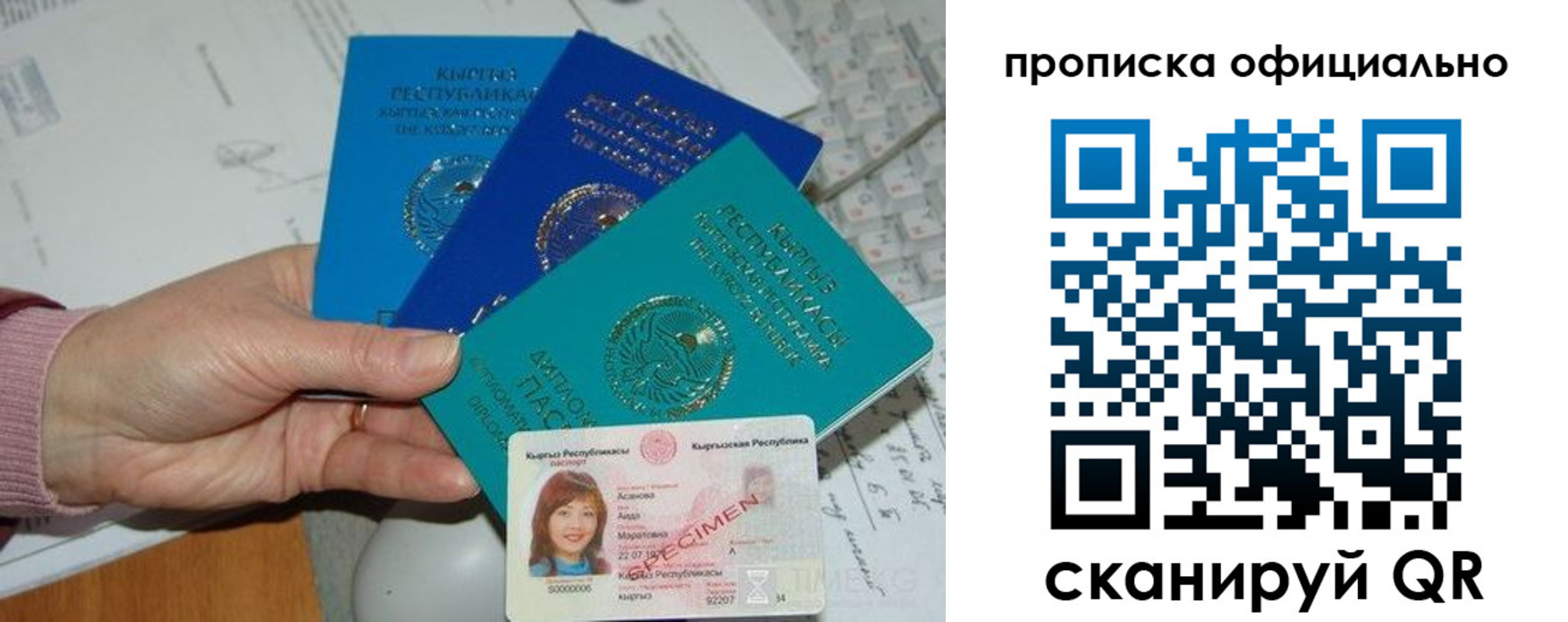 где прописаться в Щиграх